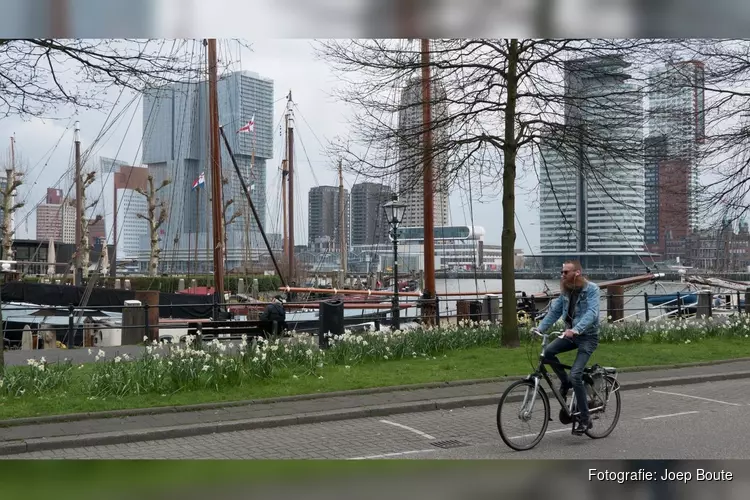 Gevolgen stikstofuitspraak Rotterdam