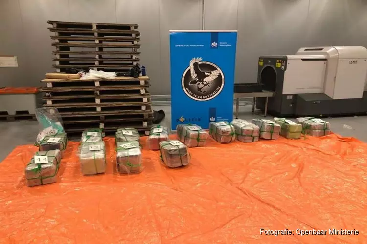 Douane vindt 478 kilo cocaïne in haven Rotterdam