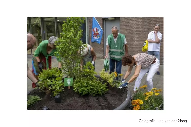 Rotterdammers maken de stad groener