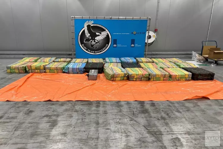 Ruim 1500 kilo cocaïne aangetroffen in container met hout