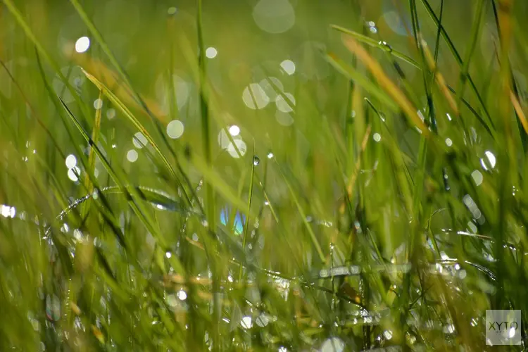 Overgang naar licht wisselvallig zomerweer