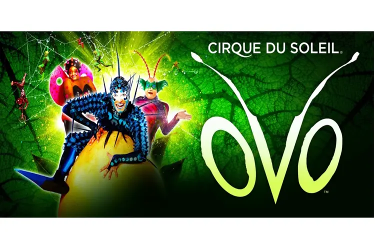 OVO – een levendig Cirque du Soleil spektakel – komt voor het eerst naar Nederland, in Amsterdam én Rotterdam