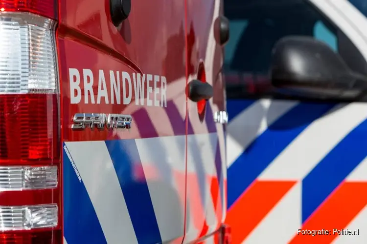 Man omgekomen bij brand Rotterdam