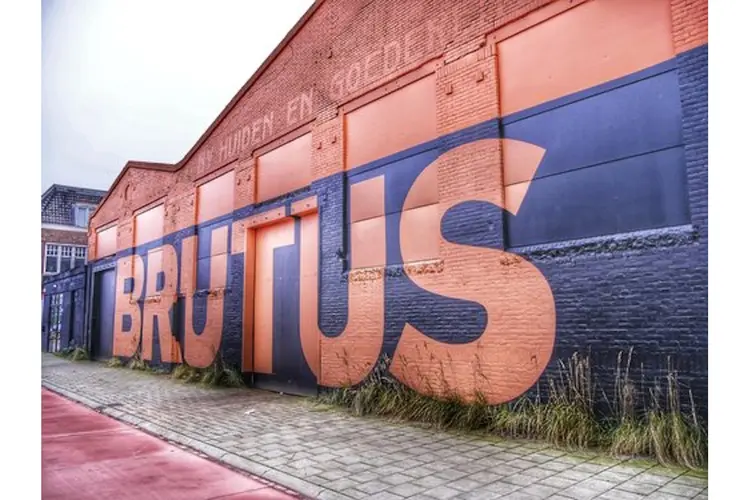 Wild Summer of Art bij Brutus in Rotterdam