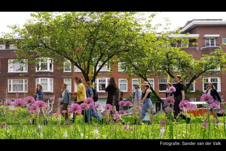 CityLab010 voor subsidie én goede begeleiding