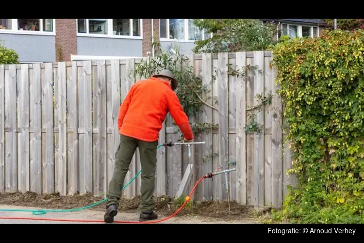 Bestrijding mediterraan draaigatje in Ommoord