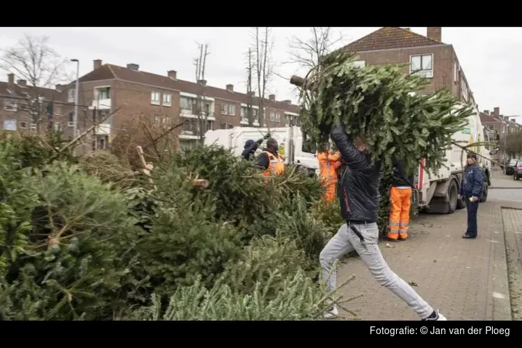 Aanmelden als inleverpunt kerstbomen