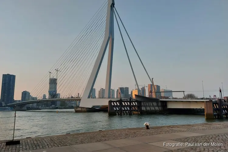 Toename aanrandingen in Rotterdam Centrum en Rotterdam Noord