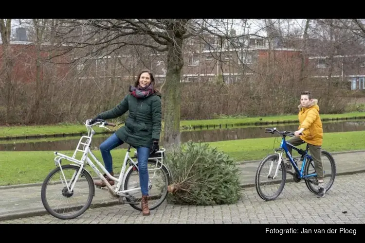 Kerstboom inleveren? Geld verdienen!